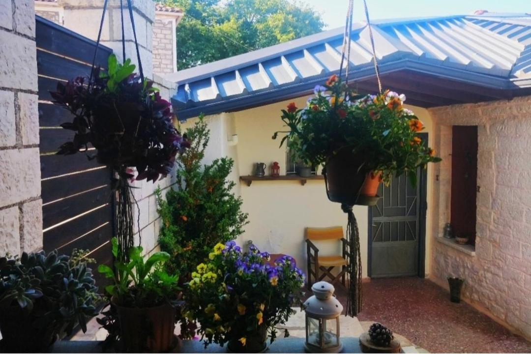 The Traditional Greek House Ioannina Exterior photo